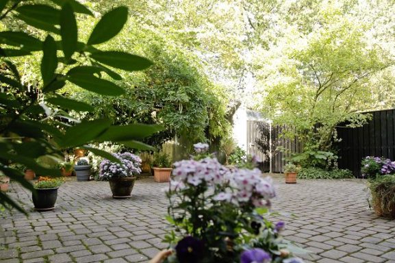 Blühender Garten mit Pflanzen und Bäumen, kleine Pflanzkübel im Vordergrund.